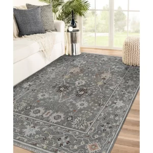 Amer Bristol BRS-15 Gray Area Rugs-History and Evolution of Rugs 