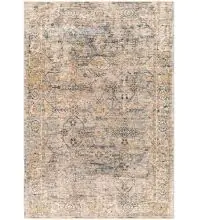 Aspendos APS-2315 Gray Area Rug