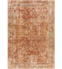 Aspendos APS-2316 Burgandy Area Rug