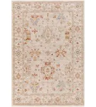 Avant Garde AVT-2311 Ash Area Rug