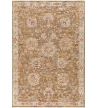 Avant Garde AVT-2320 Brown Area Rug