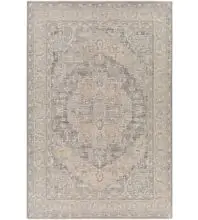 Avant Garde AVT-2337 Denim Area Rug