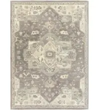 Caesar CAE-1196 Taupe Area Rug