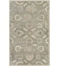 Caesar CAE-1199 Taupe Area Rug