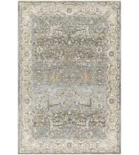 Dresden DRE-2310 Dusty Sage Area Rug