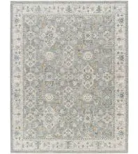 Dresden DRE-2324 Gray Area Rug