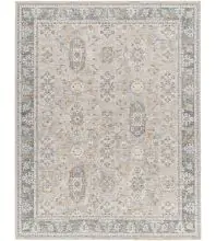 Dresden DRE-2325 Medium Gray Area Rug