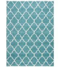 Nourison Amore Contemporary Shag Machine made AMOR2 Area Rug