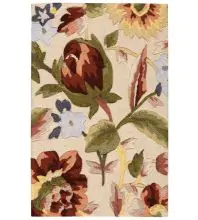 Nourison Fantasy Transitional Floral Handmade FA23 Area Rug