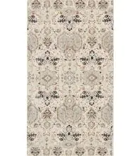 Nourison Silver Screen Transitional Machine made KI341 Area Rug