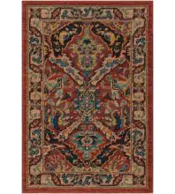 Nourison 2020 Traditional Machine made NR205 Area Rug