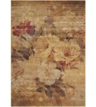 Nourison Somerset ST83  Area Rugs