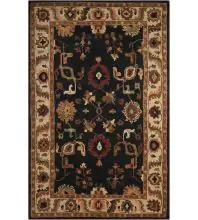 Nourison Tahoe Traditional Handmade TA08 Area Rug