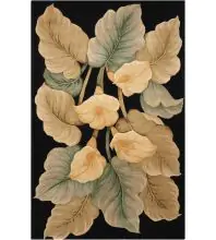 Nourison Tropics TS08Black Area Rugs