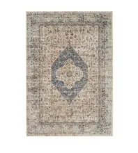 Nourison Malta Traditional Machine made MAI11 Area Rug