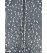 Couristan DOLCE HYENA  Area Rugs