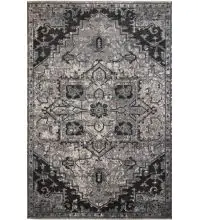 Amer Alexandria ALX-49  Area Rugs