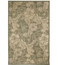 Trans Ocean Carmel 8491  Area Rugs