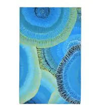 Trans Ocean Visions IV 4302  Area Rugs