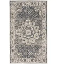 Nourison Concerto CNC07  Area Rugs