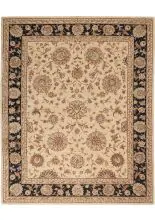 Nourison 2000 2207Beige Area Rugs