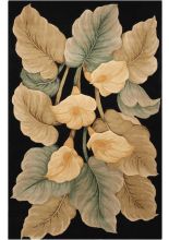 Nourison Tropics TS08Black Area Rugs