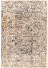 Aspendos APS-2315 Gray Area Rug