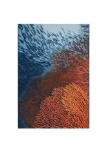 Trans Ocean Marina 8079 OCEAN Area Rugs