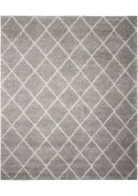 Nourison Brisbane Contemporary Shag Machine made BRI08 Area Rug