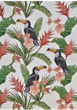 Couristan DOLCE POWER-LOOMED 100% Polypropylene,Synthetic TOUCANS