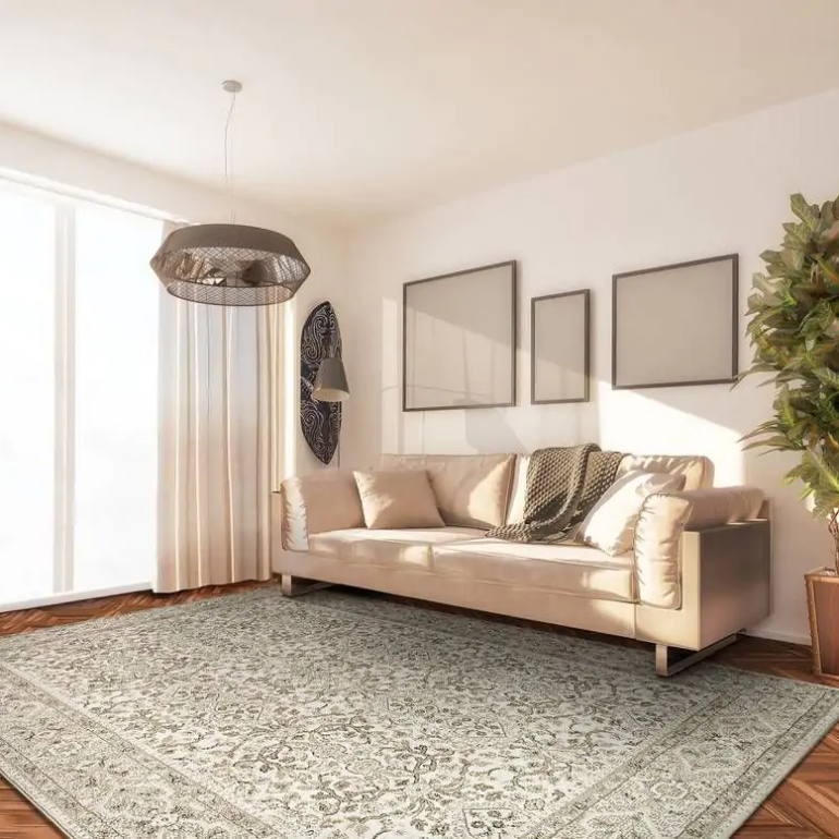 Transitional Rugs